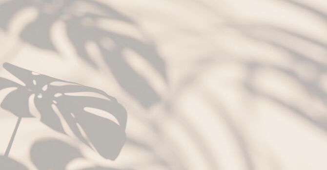 Summer Skin Savior image